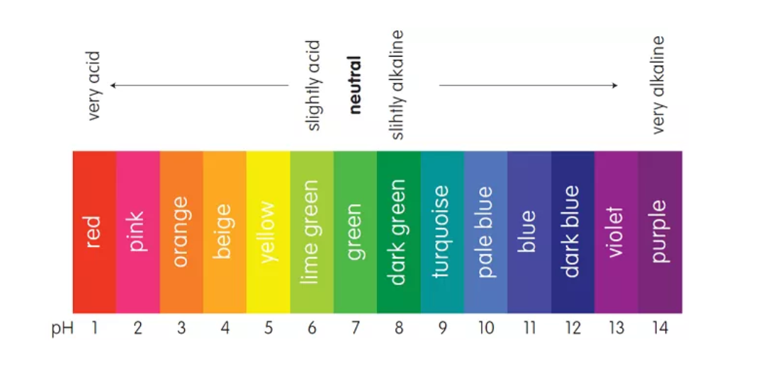 Ph 7 какая. Линейка кислотности. Шкала PH цвета. Цветная шкала РН. Шкала PH волос.